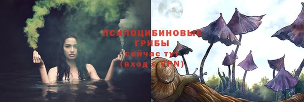 мдпв Семёнов