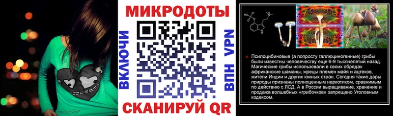 Галлюциногенные грибы Psilocybe  Озёры 