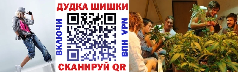 Бошки марихуана план Озёры